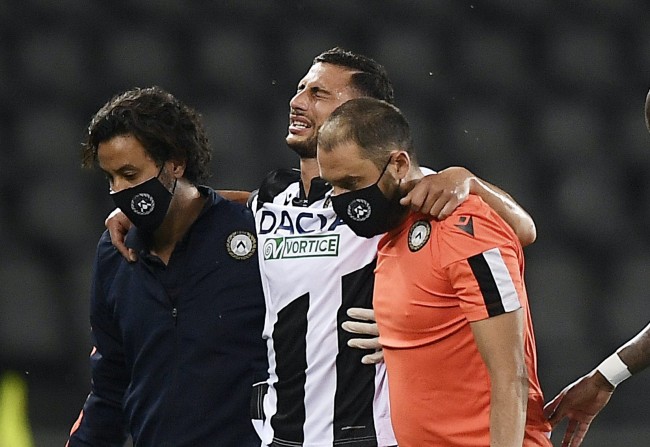 礼增添了许 礼增添了许