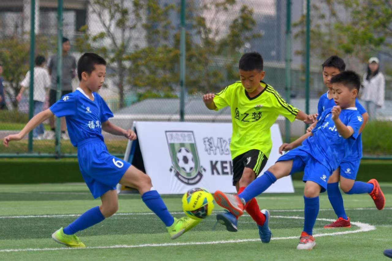 的精妙战略 的精妙战略