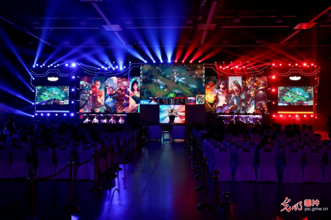 的情感与梦 的情感与梦